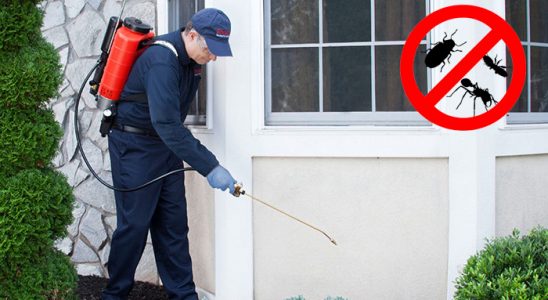 Piraziz Hamam Böceği İlaçlama böcek ilaçlama ve haşere kontrolü — ilaclama-tr.com